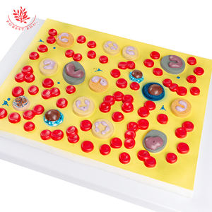 의료 model 피 혈소판 피 셀 의 인간의 model - Product Image 5