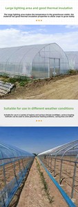 <span class=keywords><strong>Serre</strong></span> agricole de qualité supérieure à simple travée avec film plastique PE anti-UV et structure en arche - Product Image 2
