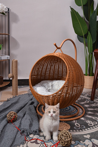 Sedia Amaca in Rattan Sintetico da Esterno con Supporto, Cuccia per Piccoli Animali come Criceti, Cani, Conigli e Gatti - Product Image 3