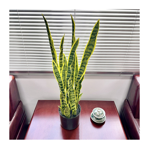 Planta Artificial de <span class=keywords><strong>Sansevieria</strong></span> en Maceta Negra de Plástico, Bonsái Decorativo para Jardín, Gran Venta - Product Image 4