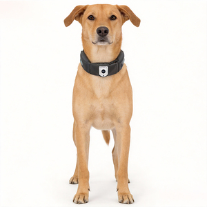 Collar con Rastreador <span class=keywords><strong>GPS</strong></span> 4G OEM/ODM, Resistente al Agua IP66, Llamadas Automáticas para Mascotas, Rastreador Inteligente de Actividad para Mascotas, Rastreador <span class=keywords><strong>GPS</strong></span> para Perros con Aplicación - Product Image 3