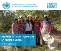 Huile Essentielle de Cyprès Naturelle du Laboratoire Bahia, Fabriquée en Tunisie, Distillation Écologique, Durée de Conservation de 3 Ans, Convient à Tous les Types de Peau