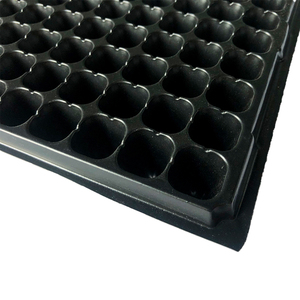 Pots <span class=keywords><strong>de</strong></span> pépinière à 72 alvéoles, profondeur 4 cm, pour <span class=keywords><strong>semis</strong></span>, pour le marché thaïlandais - Product Image 3