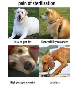 Mainan anjing realistis ramah lingkungan kualitas tinggi bahan TPR bulu lembut mainan seks pendamping suara bergetar bawaan untuk anjing - Product Image 4