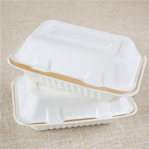 Compostable Sugarcane Clamshell Food Containers | Eco-Friendly Takeout Boxes
