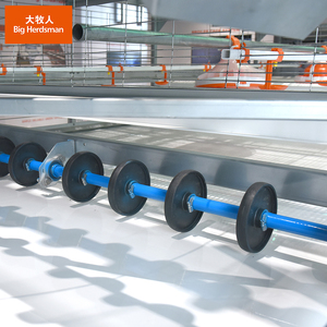 Equipo completo para jaulas de pollos de engorde: Línea de alimentación, sistema de eliminación de estiércol y sistema de movimiento de aves para naves avícolas - Product Image 3