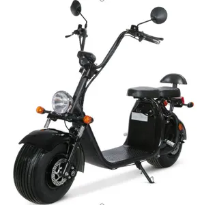 지방 타이어 도시 코코 전기 오토바이 핼리 전기 스쿠터 harleyment 2000w 1500w 2 바퀴 도시 코코 스쿠터 EEC