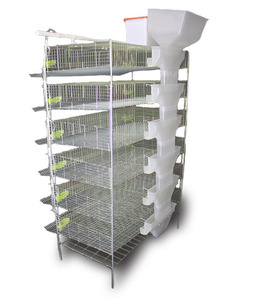 Usine chinoise fabriquant des plateaux <span class=keywords><strong>de</strong></span> collecte d'œufs automatiques pour cages à cailles, vente en gros - Product Image 3