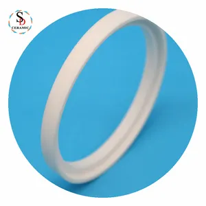 Fortschritt licher Aluminiumoxid-Keramik-Dicht ring Keramik ring