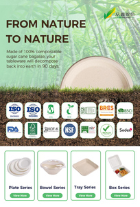 Plateau à œufs biodégradables 12 trous, 10 pcs, plateau à œufs en carton - Product Image 2