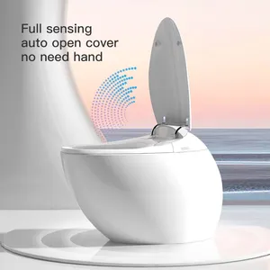 Intelligent Ceramic Toilet Electric Cleaning cover