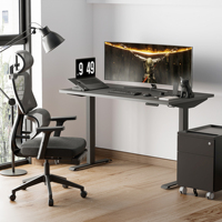 Cadre de bureau debout réglable en hauteur électrique à double moteur, table pour ordinateur portable, bureau ergonomique