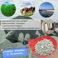 Poudre de zéolite naturelle pour le contrôle des odeurs et la réduction de l'ammoniac dans la litière avicole, supplément clinoptilolite pour la santé animale