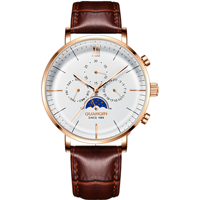 Montre-bracelet mécanique automatique pour hommes d'affaires, affichage des phases lunaires, cadran multifonction, bracelet en cuir, montre habillée