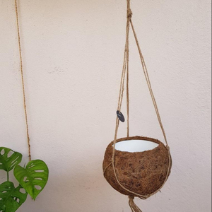 Pot suspendu Kokedama de haute qualité - Product Image 1