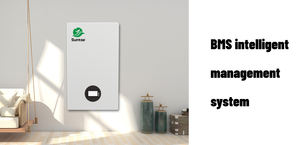 بطاريات ليثيوم فوسفات Suntop بقدرة 15 كيلو واط، 51.2 فولت، 48 فولت، 100 أمبير، 280 أمبير مع نظام إدارة البطارية، محول طاقة، حزم بطاريات ليثيوم أيون لتخزين الطاقة الشمسية - Product Image 3