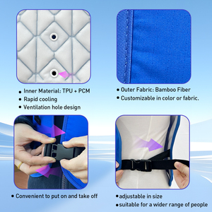 Chaleco Refrigerante PCM 2026 de Última Tendencia con Material de Cambio de Fase y Bolsas de Hielo Reutilizables para Terapia de Frío para Trabajadores al Aire Libre - Product Image 3