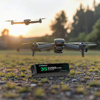 Batterie rechargeable lithium-ion haute densité énergétique, 3S 4S 6S 2200mAh 5000mAh, pour drone agricole, vente chaude