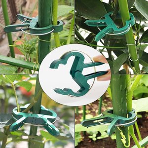 Juego de 20 Clips de Plástico para Fijación de Plantas de Tomate y Orquídeas Phalaenopsis, Accesorios de Jardinería al por Mayor - Product Image 3