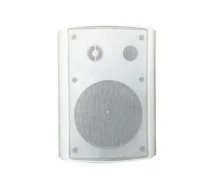 Audio High End Professional On Wall Mount Speaker