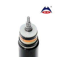 Cable de Potencia de Media Tensión con Aislamiento XLPE Ignífugo de 185 mm, 240 mm, 300 mm, 400 mm, 500 mm, 630 mm, ZR-YJLV62 8.7/15kV para Estación de Energía