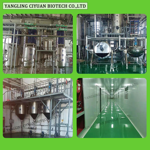 Ciyuan atacado de extrato de pó seco, raiz urticae radix em massa - Product Image 5