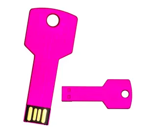 Renkli metal anahtar USB flash sürücü 2.0 2GB 4GB Memory Stick 8GB 16GB 32GB kalem sürücü ile kazınmış logosu