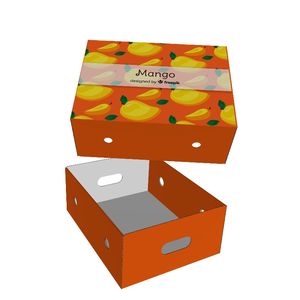 Boîte en carton ondulé rigide recyclable personnalisée en couleur avec couvercle et base, gaufrage pour l'emballage des fruits et légumes, utilisation agricole - Product Image 4