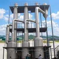 Chaîne de production de jus de pomme clé en main de haute qualité, pasteurisateur automatique en SUS304, capacité de 0,5 à 20 T/H pour la transformation des fruits