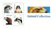Timbres-poste et étiquettes américaines en vrac, collection 2012, Oiseaux de proie, impression personnalisée, timbres-poste et étiquettes pour envois internationaux