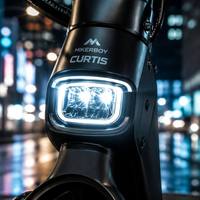 Trottinette électrique à double moteur Curtis pour les trajets de courte distance OEM