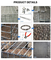 Panier en treillis métallique galvanisé soudé de haute qualité, produit par une usine professionnelle certifiée CE ISO, pour mur en pierre, table, poêle
