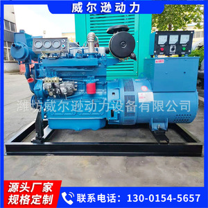 Groupe électrogène diesel Weifang 50 kW 400/230 V 1500 tr/min avec télécommande pour usage marin, aquaculture et situations d'urgence - Product Image 3