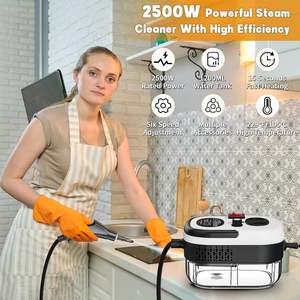 Mesin Pembersih Uap Portabel 2500W Suhu Tinggi dengan Kepala Sikat Elektrik untuk Mobil Rumah Tangga Hotel 220V Colokan AS - Product Image 3