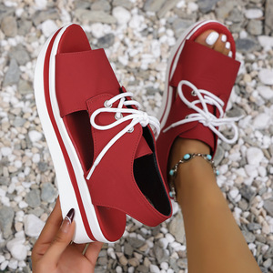 Women Thick-soled Summer New Sports <b>Sandals</b> Large Open Toe Lace-up Beach <b>Sandals</b> - Product Image 1