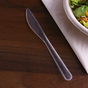 180mm uzun saplı tek kullanımlık peynir bıçağı ağır Besteck PS çatal tek kullanımlık temizle plastik bıçaklar için parti