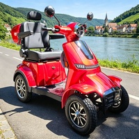 Scooter de mobilité puissant 1000W 60V pour extérieur, 4 roues, loisirs, personnes âgées, autonomie 60km, charge lourde