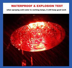 Lampe chauffante infrarouge thermique 220V pour l'incubation des poulets, en parfait état, pour la reproduction, la préservation de la chaleur, le chauffage, la ferme d'élevage, en aluminium - Product Image 5