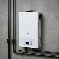 Chauffe-eau instantané au gaz de type cheminée 6-16L à performance stable pour le marché sud-américain