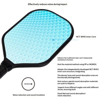 Raquette de pickleball en fibre de carbone thermoformée intégrée avec design anti-bruit pour entraînement et matchs professionnels