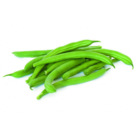 Frijoles de la Marca Moon Star Premium, Variedad para Cultivo Comercial, con Excelente Uniformidad de Vainas, Crecimiento Fuerte, Alto Potencial, 99%