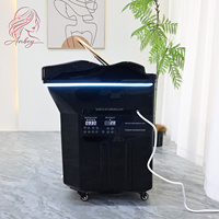 Bac à shampoing portable sans plomberie avec réservoir d'eau et chaise de lavage confortable pour salon de coiffure et spa