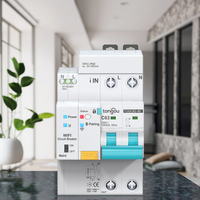 API Tuya RCBO Disjoncteur de mesure WIFI Minuterie de vie intelligente Télécommande Interrupteur automatique sans fil Interrupteur de refermeture