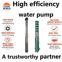 Pompe submersible haute pression pour puits, pompe de forage résidentielle, pompe de relevage d'eau pour terres agricoles, pompe multi-étages avec câble de deux mètres