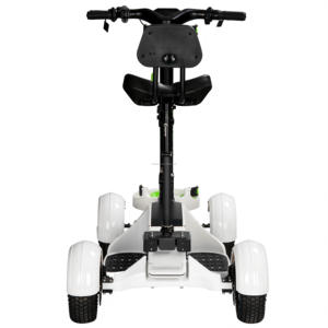 <span class=keywords><strong>Chariot</strong></span> de <span class=keywords><strong>golf</strong></span> motorisé ESWING à 4 roues, mini <span class=keywords><strong>chariot</strong></span> de <span class=keywords><strong>golf</strong></span> avec sac de <span class=keywords><strong>golf</strong></span> pour adultes et seniors, personnalisable, pas cher, livraison directe - Product Image 1