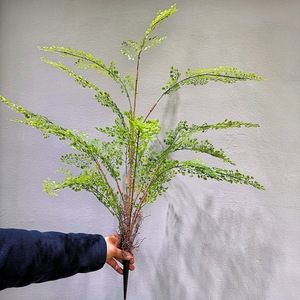 ต้นเฟิร์นประดิษฐ์ Meng Jie ขนาด 30 ซม.-100 ซม. ทำจากยางนิ่ม สำหรับตกแต่งบ้านและใช้เป็นพร็อพถ่ายภาพ - Product Image 2