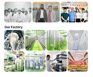 Extracto de Planta de <span class=keywords><strong>Lampranthus</strong></span> Tenuifolius, Caléndula, Kanna, al por Mayor, OEM/ODM - Product Image 6