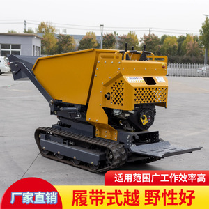 Transportador Multifuncional sobre Rieles con Capacidad de Carga de 1-10t, Camión Volquete Diésel para Obras de Construcción Agrícola - Product Image 5