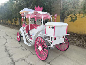 Carroza de Boda Eléctrica Estilo Princesa Europea, Diseño de Calabaza, Venta Directa de Fábrica - Product Image 5