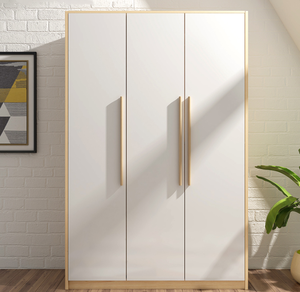 AILICHEN moderno e semplice piccolo appartamento camera da letto a tre porte grande armadio combinato a due porte armadio pieghevole a due porte - Product Image 6